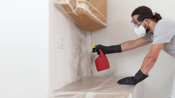 Professional Attic Mold Remediation technician working in Newport, MN